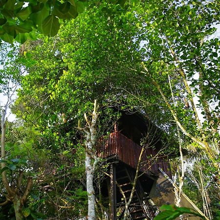 Greens Tree House & Wood House Sultan Bathery Exterior foto