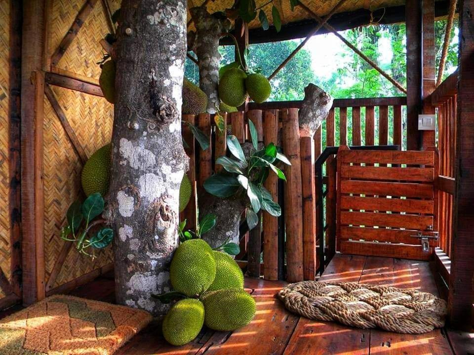 Greens Tree House & Wood House Sultan Bathery Exterior foto