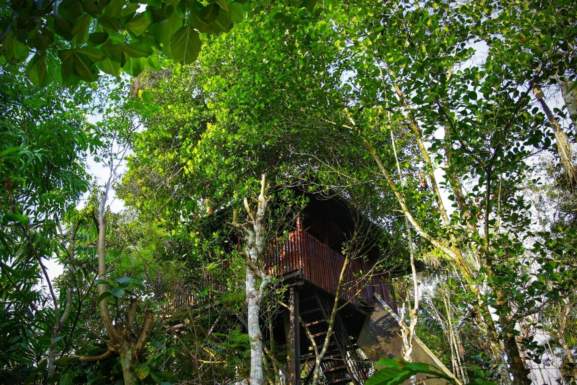 Greens Tree House & Wood House Sultan Bathery Exterior foto