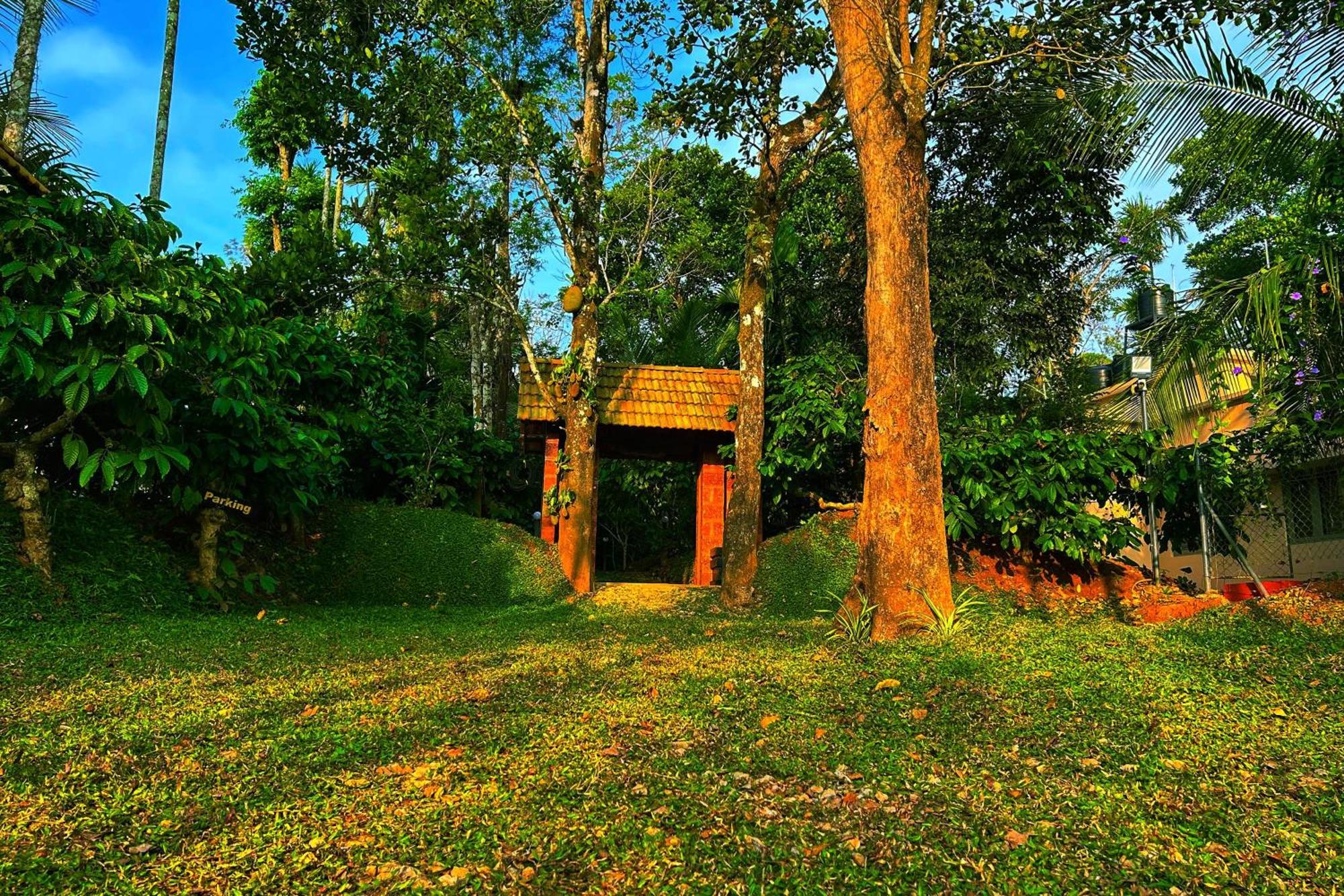 Greens Tree House & Wood House Sultan Bathery Exterior foto