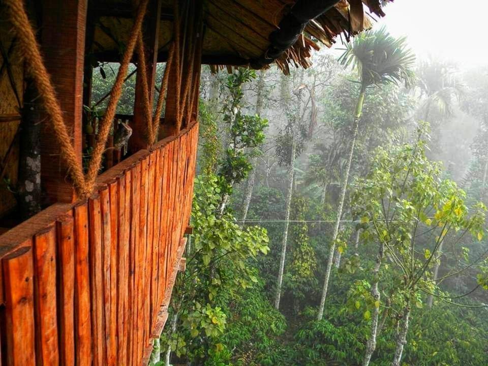 Greens Tree House & Wood House Sultan Bathery Exterior foto