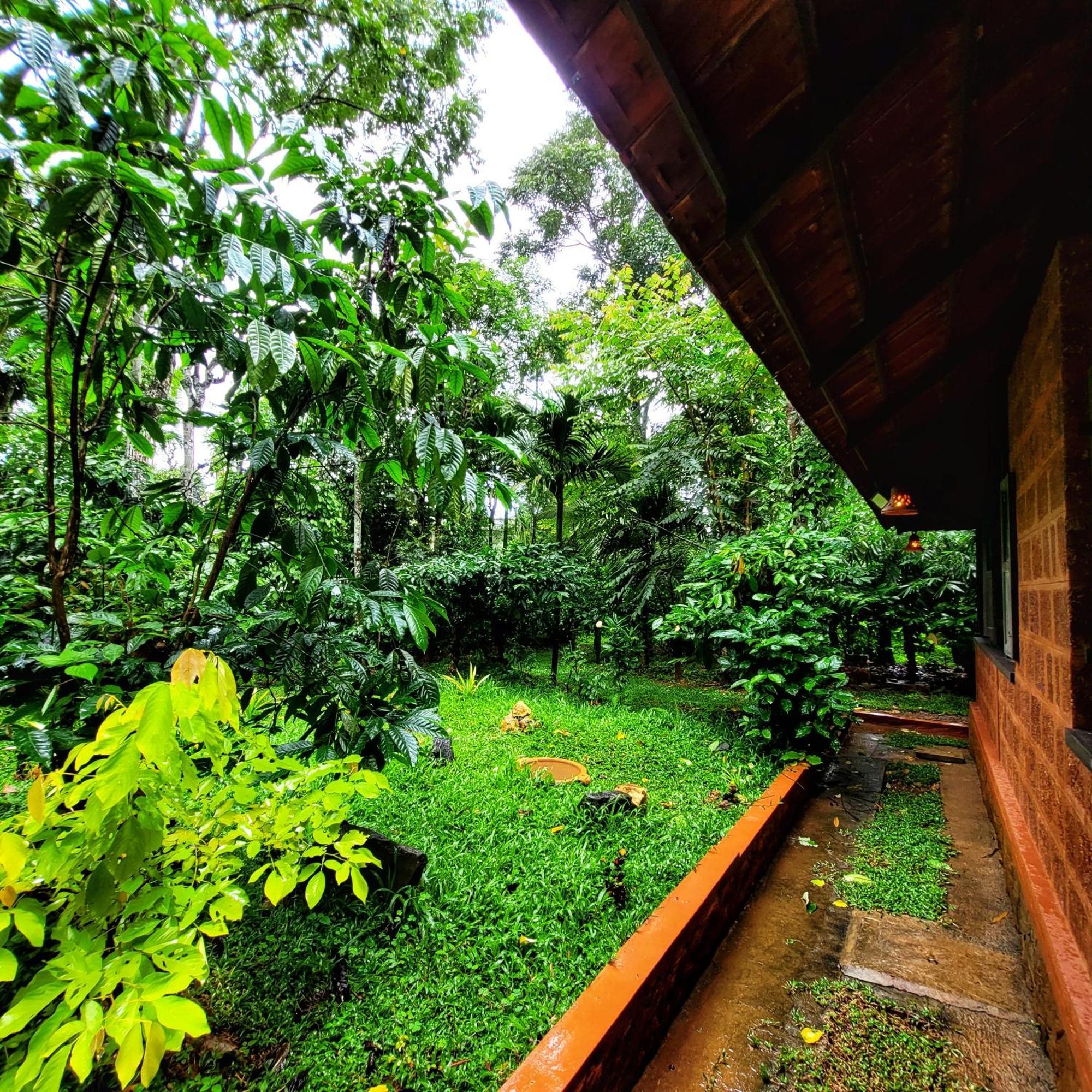 Greens Tree House & Wood House Sultan Bathery Exterior foto
