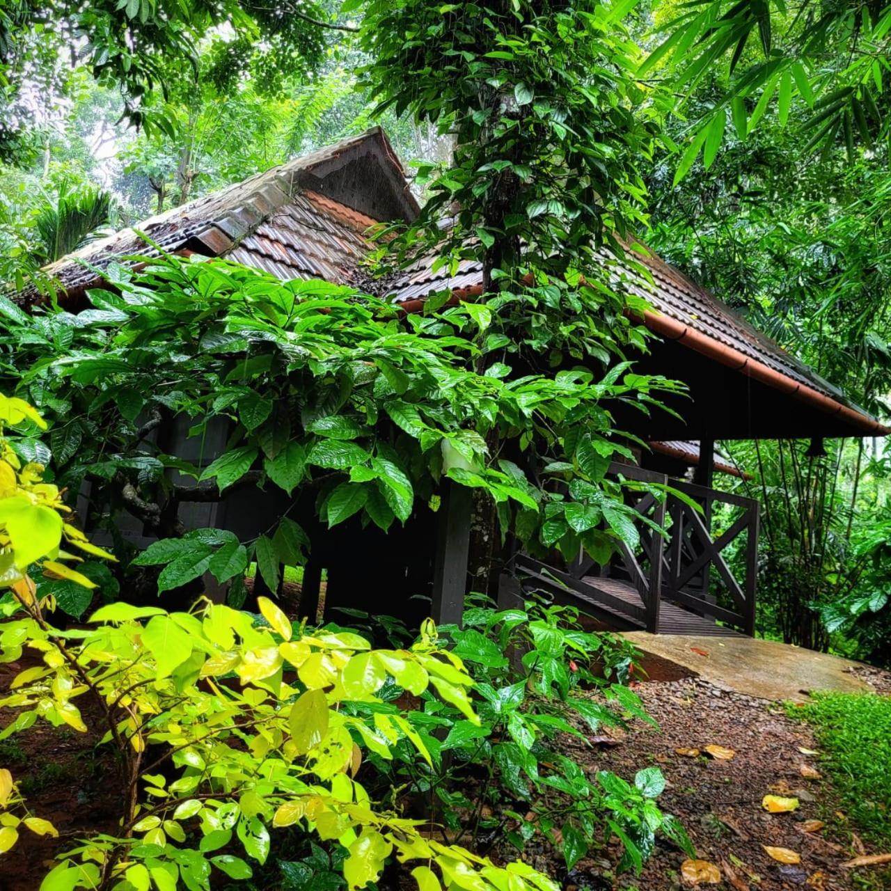 Greens Tree House & Wood House Sultan Bathery Exterior foto