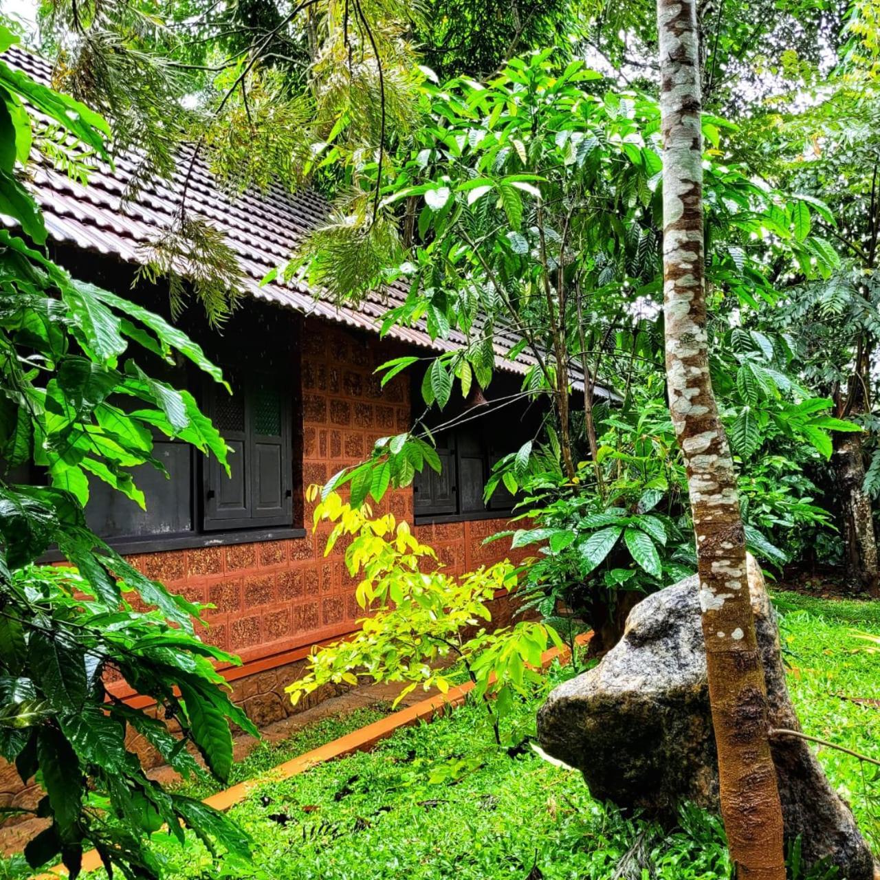 Greens Tree House & Wood House Sultan Bathery Exterior foto