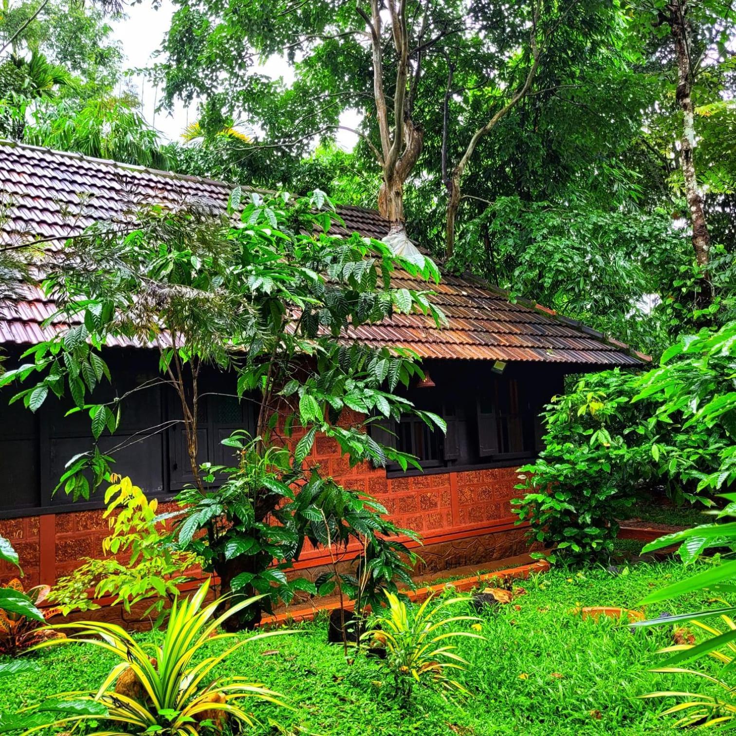 Greens Tree House & Wood House Sultan Bathery Exterior foto