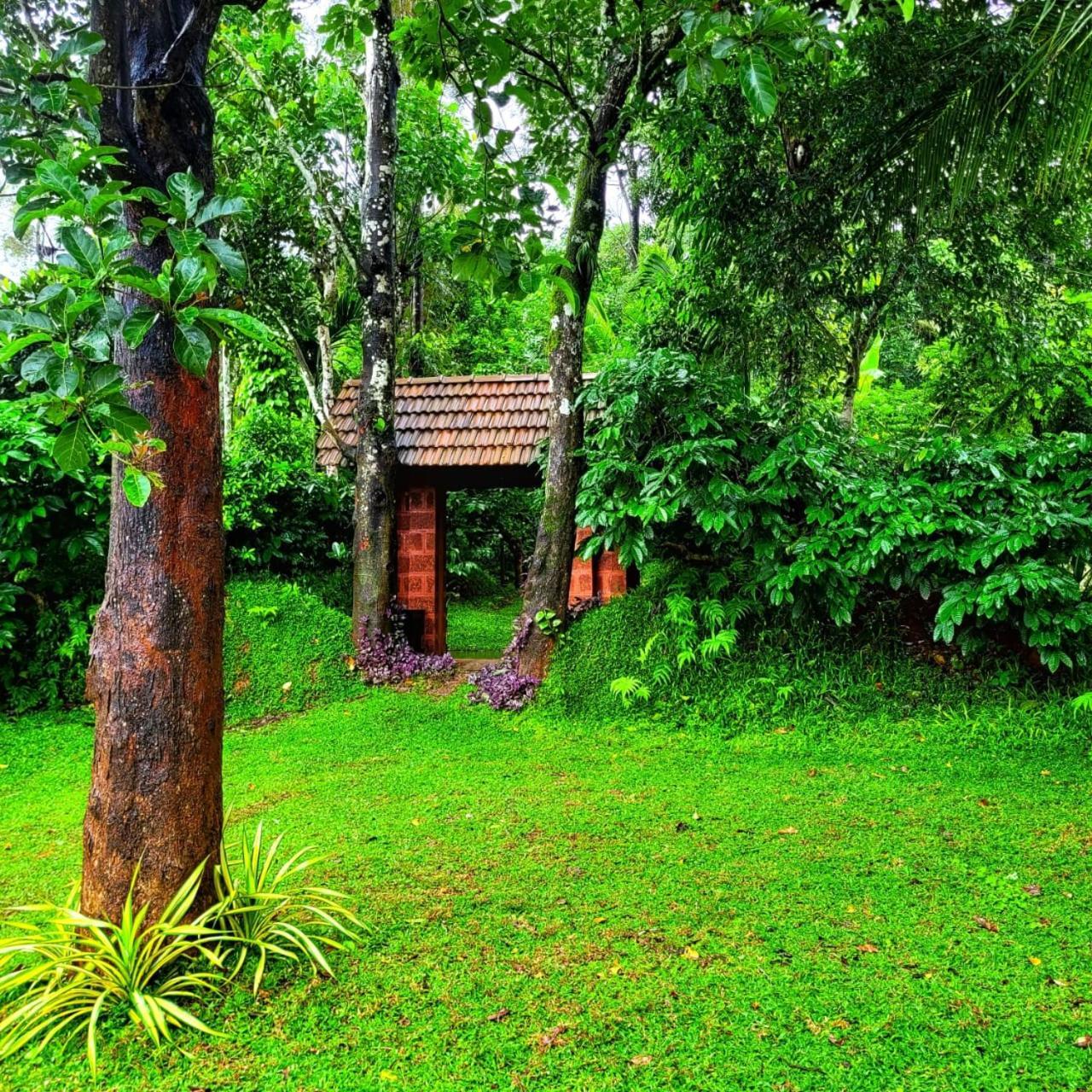 Greens Tree House & Wood House Sultan Bathery Exterior foto
