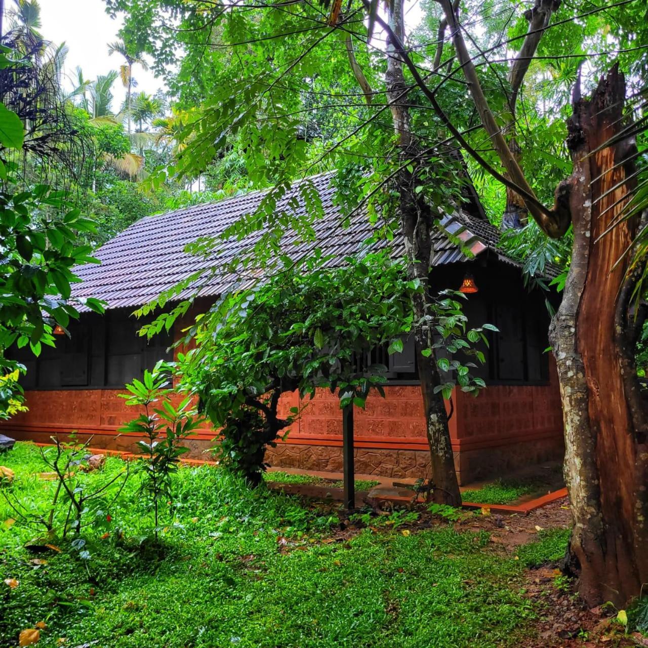 Greens Tree House & Wood House Sultan Bathery Exterior foto